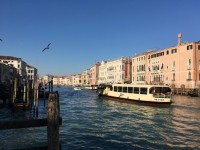 IMG_7520